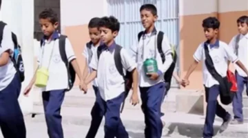 بوابة مديرية التعليم.. رابط الاستعلام عن نتائج امتحانات الفصل الدراسي الأول برقم الجلوس